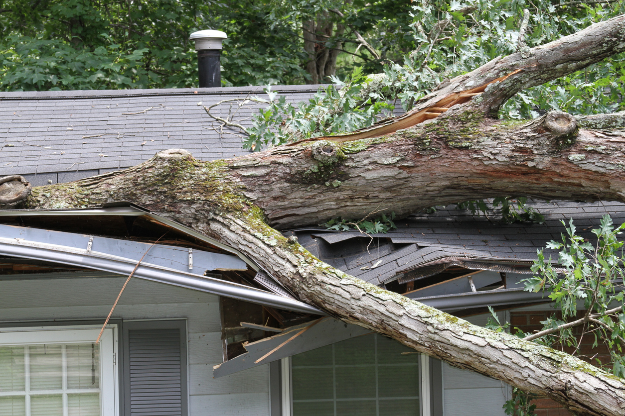 Storm Damage Roof Repair In Raleigh NC